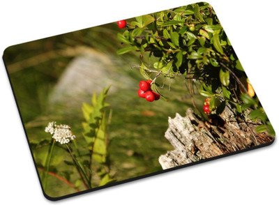 

Shoprider MULTICOLOR-670 Mousepad(Multicolor)