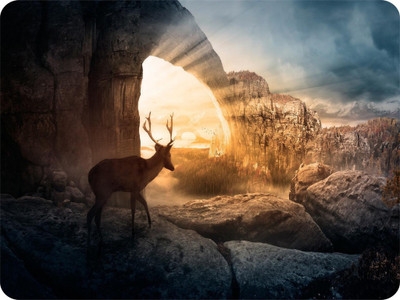

SYL Deer Mousepad(Multicolor)