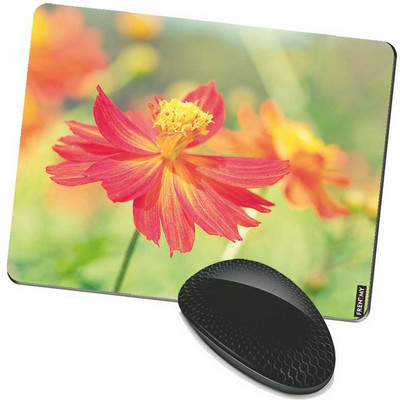 

FRENEMY MPAD8251 Mousepad(Multicolor)