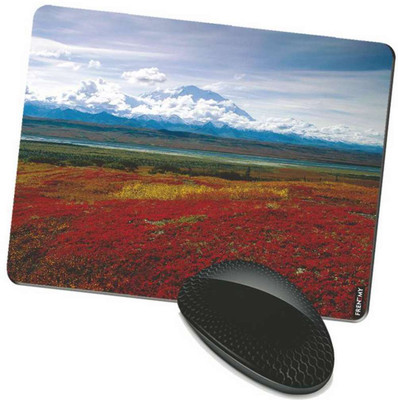 

FRENEMY MPAD9236 Mousepad(Multicolor)