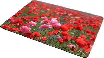 

EMPRESSION EMP-LOT2-1959 Mousepad(Multicolor)