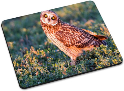 

Shoprider DESGINER MOUSEPAD-851 Mousepad(Multicolor)