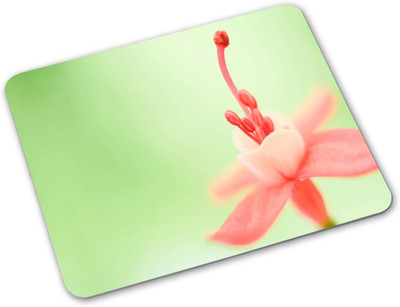 

Shoprider Desginer-566 Mousepad(Multicolor)