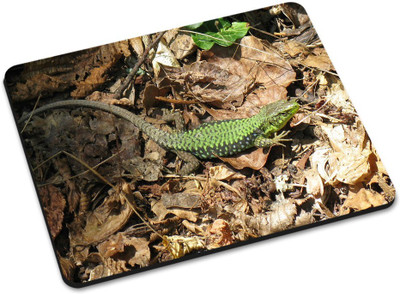 

Shoprider MULTICOLOR-869 Mousepad(Multicolor)