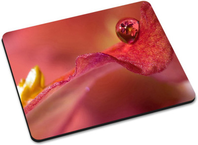 

Shoprider DESGINER MOUSEPAD-049 Mousepad(Multicolor)