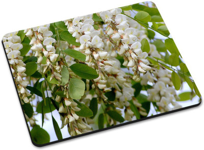 

Shoprider DESGINER MOUSEPAD-516 Mousepad(Multicolor)