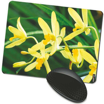 

FRENEMY MPAD3248 Mousepad(Multicolor)