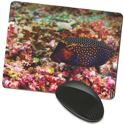 

FRENEMY MPAD8021 Mousepad(Multicolor)