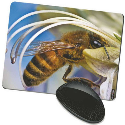 

FRENEMY MPAD9295 Mousepad(Multicolor)