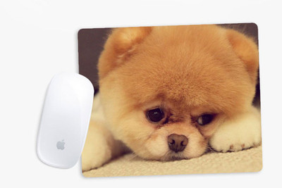 

Sowing Happiness SHMUSPD086 Mousepad(Multicolor)