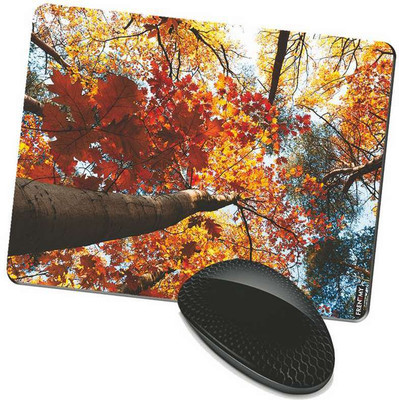 

FRENEMY MPAD4122 Mousepad(Multicolor)