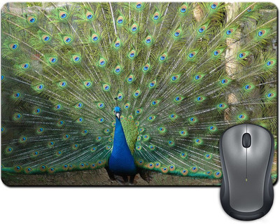 

ShopMantra Peacock with Feathers Open Mousepad(Multicolor)