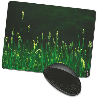 

FRENEMY MPAD6901 Mousepad(Multicolor)