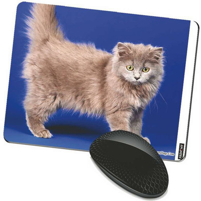 

FRENEMY MPAD8863 Mousepad(Multicolor)