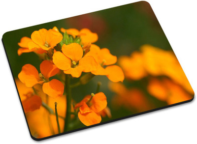 

Shoprider DESGINER MOUSEPAD-291 Mousepad(Multicolor)