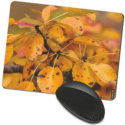 

FRENEMY MPAD749 Mousepad(Multicolor)