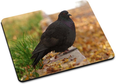 

Shoprider DESGINER MOUSEPAD-986 Mousepad(Multicolor)