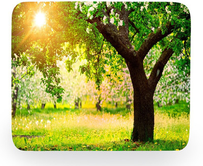 

PhotogiftsIndia Nature 002 Mousepad(Multicolor)