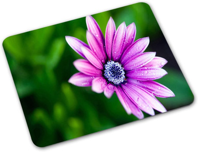 

Shoprider Desginer-633 Mousepad(Multicolor)