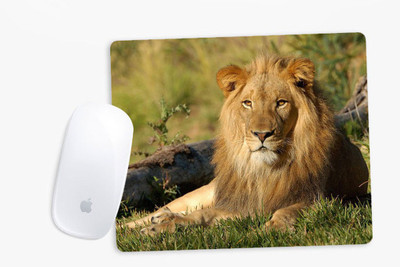 

Sowing Happiness SHMUSPD062 Mousepad(Multicolor)