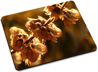 

Shoprider MULTICOLOR-868 Mousepad(Multicolor)