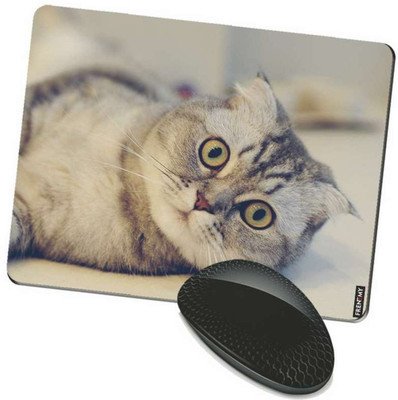 

FRENEMY MPAD7542 Mousepad(Multicolor)