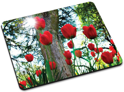 

Shoprider MULTICOLOR-238 Mousepad(Multicolor)