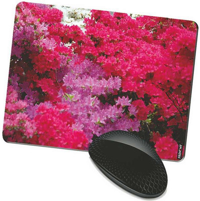 

FRENEMY MPAD5822 Mousepad(Multicolor)
