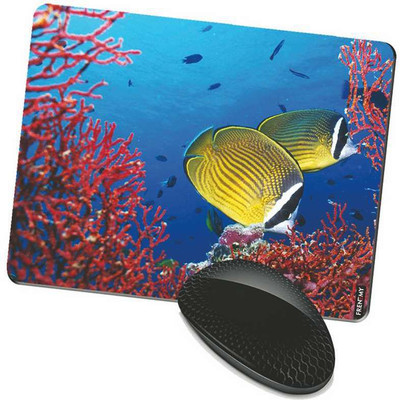 

FRENEMY MPAD8116 Mousepad(Multicolor)