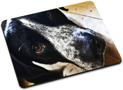 

Shoprider MULTICOLOR-888 Mousepad(Multicolor)