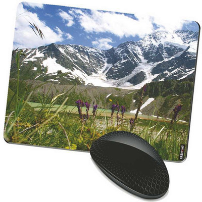 

FRENEMY MPAD9302 Mousepad(Multicolor)