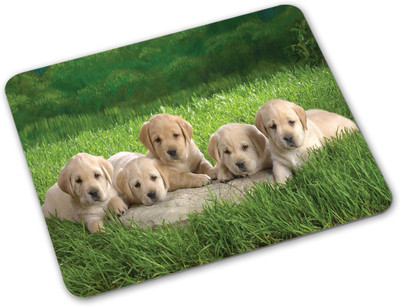 

Shoprider Desginer-552 Mousepad(Multicolor)
