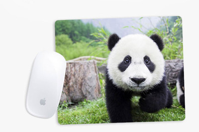 

Sowing Happiness SHMUSPD069 Mousepad(Multicolor)