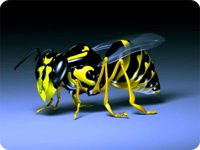 

SYL Bee Mousepad(Multicolor)