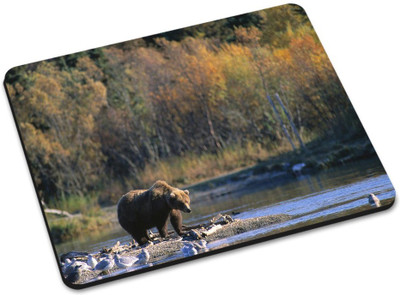 

Shoprider MULTICOLOR-936 Mousepad(Multicolor)