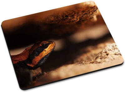 

Shoprider DESGINER MOUSEPAD-024 Mousepad(Multicolor)