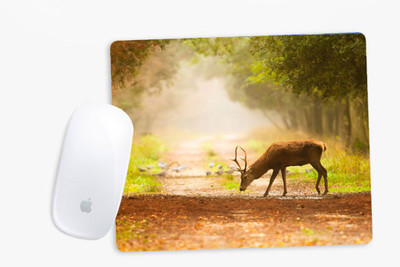

Sowing Happiness SHMUSPD085 Mousepad(Multicolor)