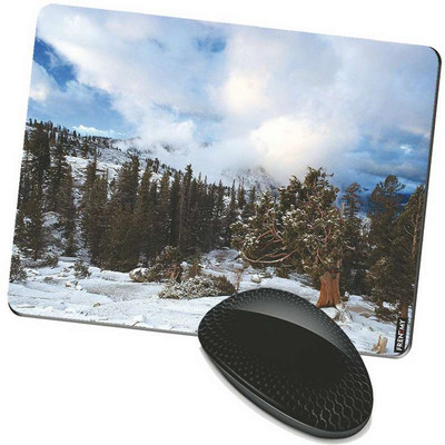 

FRENEMY MPAD5554 Mousepad(Multicolor)