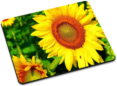 

Shoprider MULTICOLOR-847 Mousepad(Multicolor)