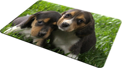 

EMPRESSION EMP-LOT2-790 Mousepad(Multicolor)