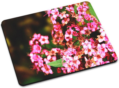 

Shoprider DESGINER MOUSEPAD-411 Mousepad(Multicolor)
