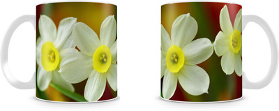 

Mott2 Hswm002 (64) Mott2s Ceramic Mug(350 ml)