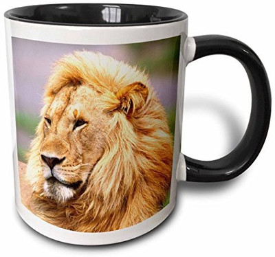 

3dRose mug_83907_4 Male African Lion, Tanzania Africa NA02 DNO0332 David Northcott Two Tone Black, 11 oz, Black/White Ceramic Mug(60 ml), Multicolor
