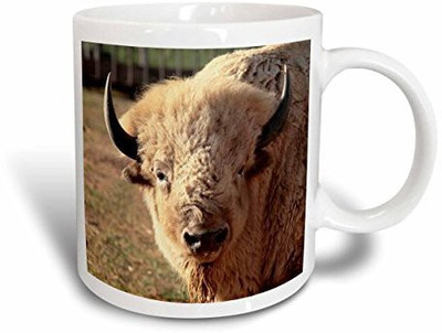 

3dRose White Buffalo Wildlife, Santa Fe, New Mexico US32 JMR0089 Julien Mcroberts Ceramic, 15-Oz Ceramic Mug(60 ml), Multicolor