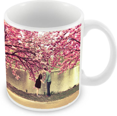 Sleep Nature's SN-MG-1805 Ceramic Mug(350 ml), Multicolor