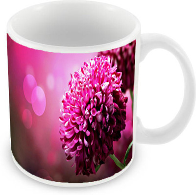 

Sleep Nature's SN-MG-972 Ceramic Mug(350 ml), Pink