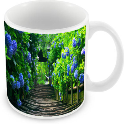 

Sleep Nature's SN-MG-951 Ceramic Mug(350 ml), Multicolor