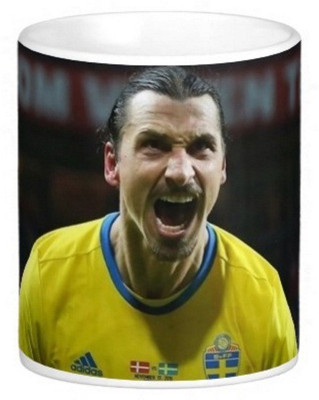 

Exoctic Silver Euro 16 All Star Series 002 Ceramic Mug(300 ml), Multicolor