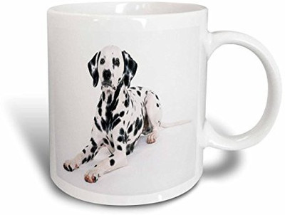 

3dRose mug_49310_1 Majestic Dalmatian Portrait Ceramic, 11-Ounce Ceramic Mug(60 ml), Multicolor