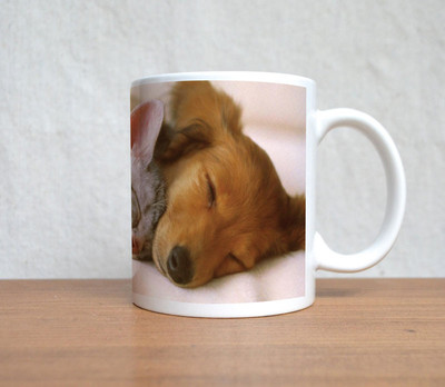 60% OFF on StyBuzz Cat and Dog Sleeping Ceramic Coffee Mug(300 ml) 60% OFF on StyBuzz Cat and Dog Sleeping Ceramic Coffee Mug(300 ml)